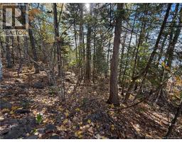 74 Barnes Point Road, photo 20