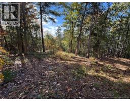 74 Barnes Point Road, photo 24