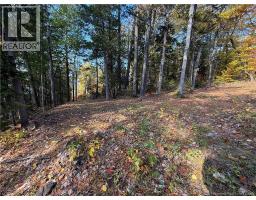 74 Barnes Point Road, photo 17