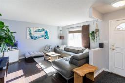 Recreation room - 11 Brixford Crescent, Winnipeg, MB R2N1E1 Photo 6