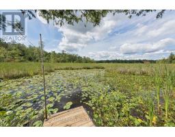178 Roma Lane, Stirling Rawdon, ON K0K2M0 Photo 32