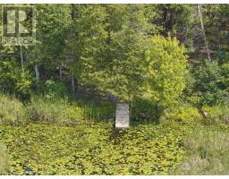 178 Roma Lane, Stirling Rawdon, ON K0K2M0 Photo 33