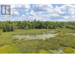 178 Roma Lane, Stirling Rawdon, ON K0K2M0 Photo 36