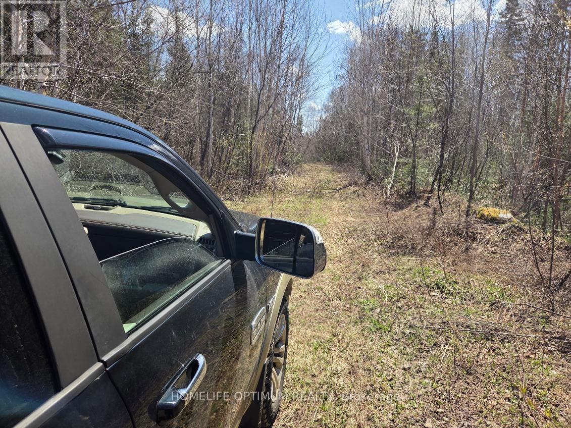 Godfrey Township, Timmins, ON photo 8