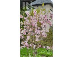 44 Ridge Hill Drive, Toronto, ON M6C2J4 Photo 24