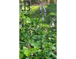 44 Ridge Hill Drive, Toronto, ON M6C2J4 Photo 28