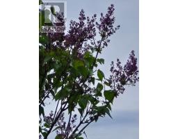 44 Ridge Hill Drive, Toronto, ON M6C2J4 Photo 29