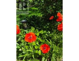 44 Ridge Hill Drive, Toronto, ON M6C2J4 Photo 30