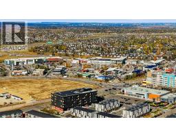 313 Seton Circle Se, Calgary, AB T3M2V8 Photo 30