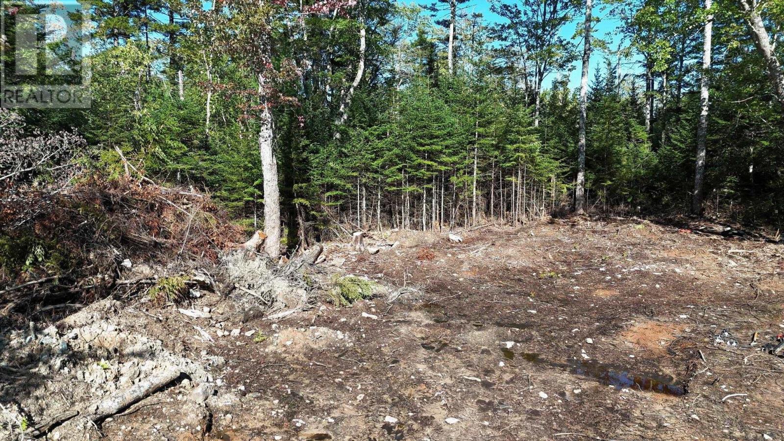 72 Shortcut Road photo 5