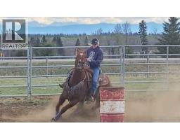 390039 Range Road 54, Rural Clearwater County, AB T0M0C0 Photo 43