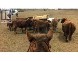 390039 Range Road 54, Rural Clearwater County, AB T0M0C0 Photo 40