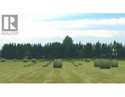 390039 Range Road 54, Rural Clearwater County, AB T0M0C0 Photo 46