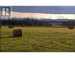 390039 Range Road 54, Rural Clearwater County, AB T0M0C0 Photo 36