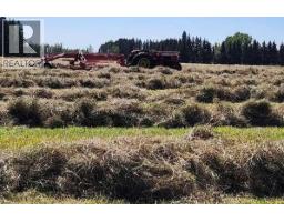 390039 Range Road 54, Rural Clearwater County, AB T0M0C0 Photo 35