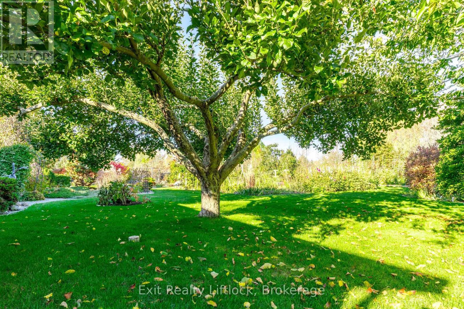 651 & 653 Cottesmore Avenue, Cobourg, ON photo 46