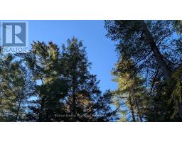 1448 Limberlost Road, Lake Of Bays, ON P0A1H0 Photo 11