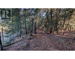 1448 Limberlost Road, Lake Of Bays, ON P0A1H0 Photo 14