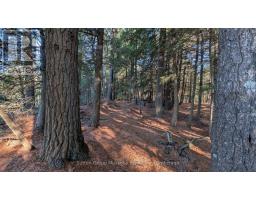 1448 Limberlost Road, Lake Of Bays, ON P0A1H0 Photo 15