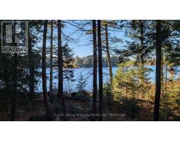 1448 Limberlost Road, Lake Of Bays, ON P0A1H0 Photo 17