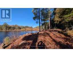 1448 Limberlost Road, Lake Of Bays, ON P0A1H0 Photo 19