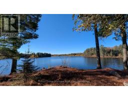 1448 Limberlost Road, Lake Of Bays, ON P0A1H0 Photo 20