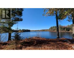 1448 Limberlost Road, Lake Of Bays, ON P0A1H0 Photo 21