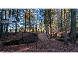 1448 Limberlost Road, Lake Of Bays, ON P0A1H0 Photo 22