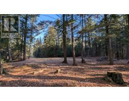 1448 Limberlost Road, Lake Of Bays, ON P0A1H0 Photo 6