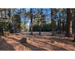 1448 Limberlost Road, Lake Of Bays, ON P0A1H0 Photo 7