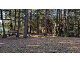 1448 Limberlost Road, Lake Of Bays, ON P0A1H0 Photo 8