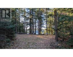 1448 Limberlost Road, Lake Of Bays, ON P0A1H0 Photo 9