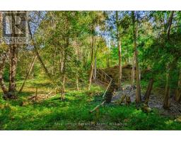 168 South River Road, Centre Wellington, ON N0B1S0 Photo 40