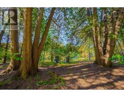 168 South River Road, Centre Wellington, ON N0B1S0 Photo 41