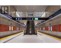 Lower - 166 Schell Avenue, Toronto, ON M6E2T1 Photo 17