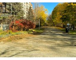 Lower - 166 Schell Avenue, Toronto, ON M6E2T1 Photo 18