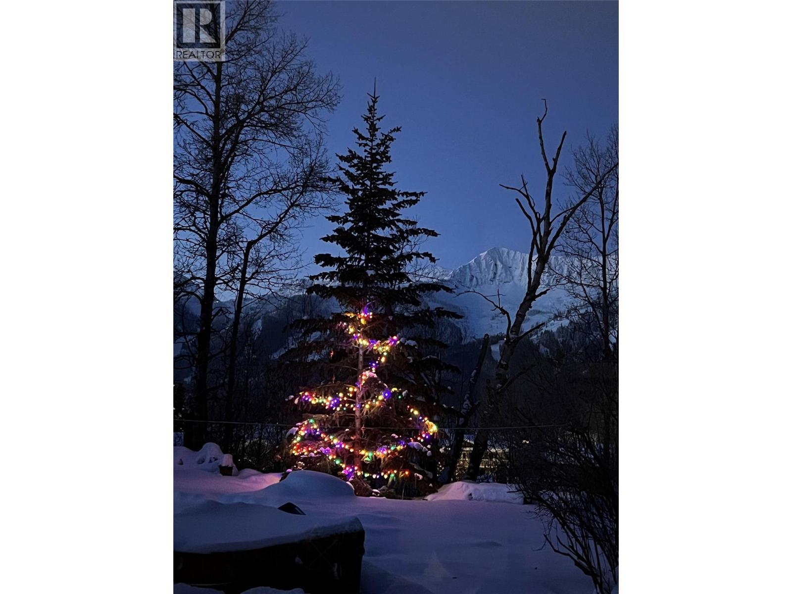 39 ELKVIEW Drive, Fernie - Image 1