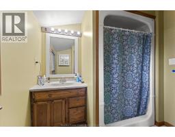 524 Broadway Street, Belle River, ON N0R1A0 Photo 26