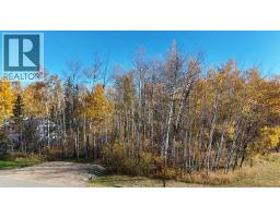 862, 13441 665a Township, Lac La Biche, AB T0A2C1 Photo 25