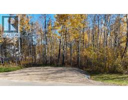 389, 13441 665a Township, Lac La Biche, AB T0A2C1 Photo 26