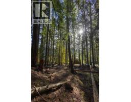 4318 Highway 3a Highway, Nelson, BC V1L6N1 Photo 18
