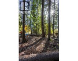 4318 Highway 3a Highway, Nelson, BC V1L6N1 Photo 17
