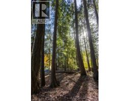 4318 Highway 3a Highway, Nelson, BC V1L6N1 Photo 16