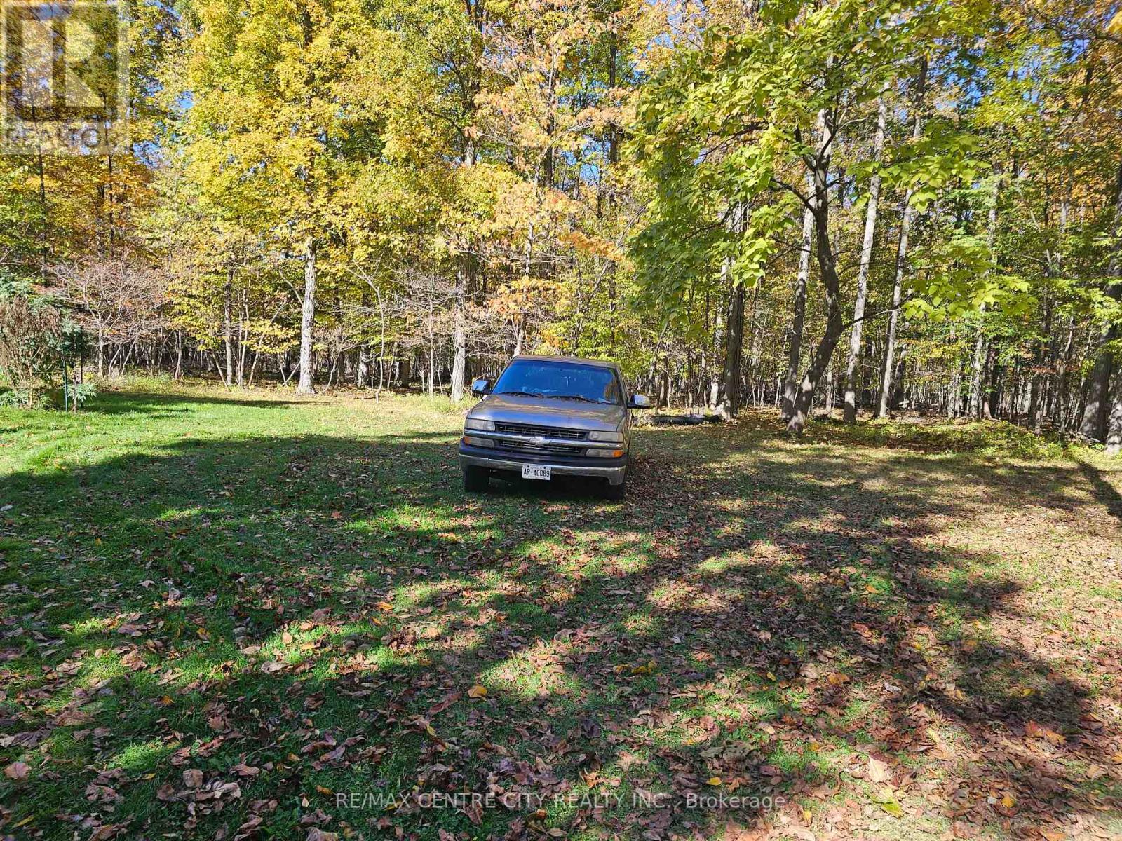39306 Bush photo 4