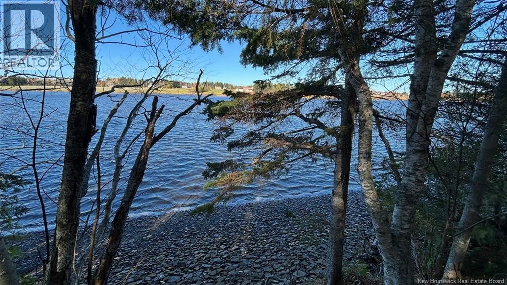 106 Ch. Rivière du Portage photo 3