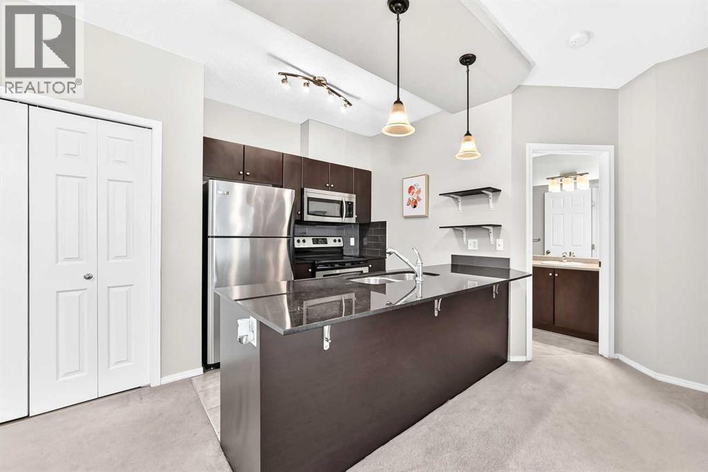 206, 325 3 Street SE, Calgary — photo 6