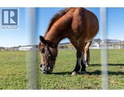 5451 Whelan Road, Kelowna, BC V1X7V5 Photo 26