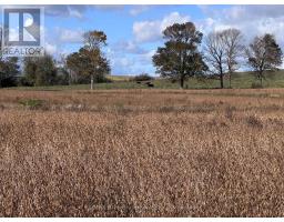 1279 25 Elderslie Side Road, Arran Elderslie, ON N0H1L0 Photo 15