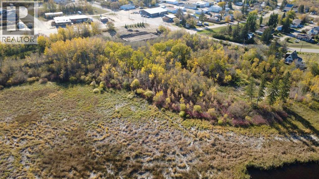 100 1 Avenue, Paradise Hill Saskatchewan — photo 6