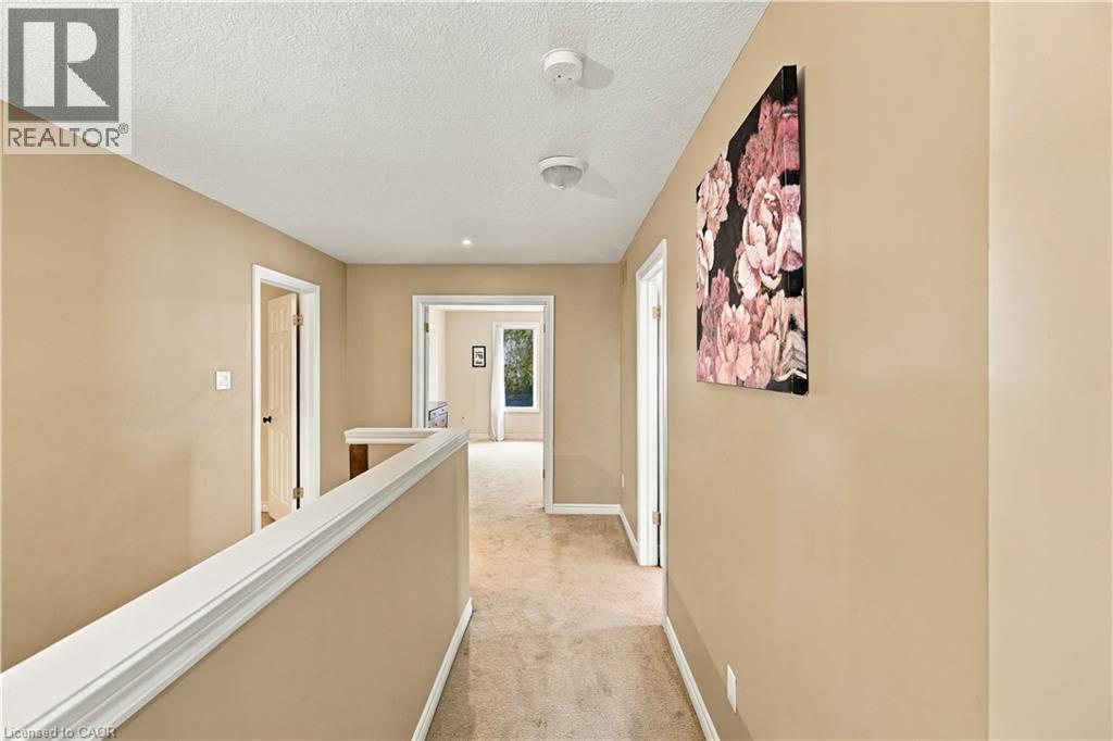 Photo 30 of 50
